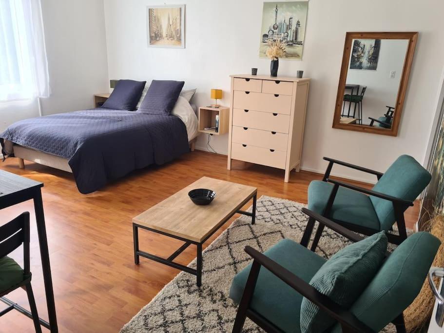 Studio Avec Terrasse Et Place De Parking تولوز المظهر الخارجي الصورة