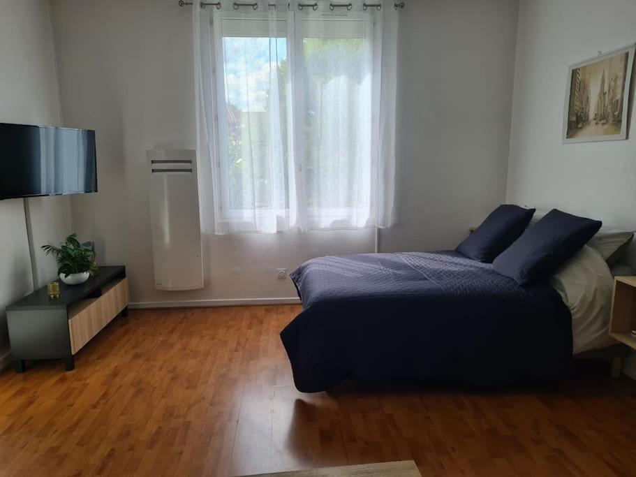 Studio Avec Terrasse Et Place De Parking تولوز المظهر الخارجي الصورة