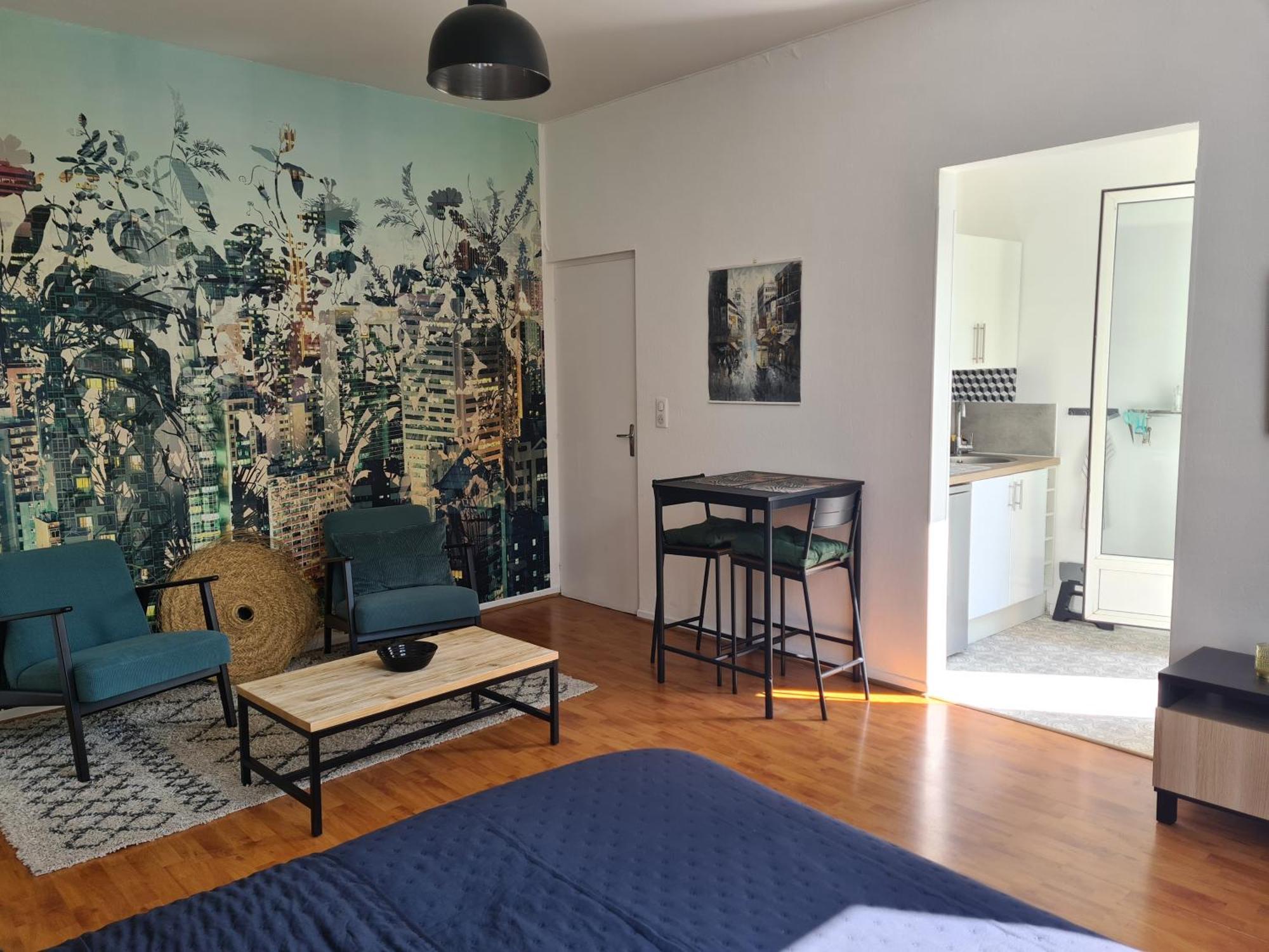 Studio Avec Terrasse Et Place De Parking تولوز المظهر الخارجي الصورة